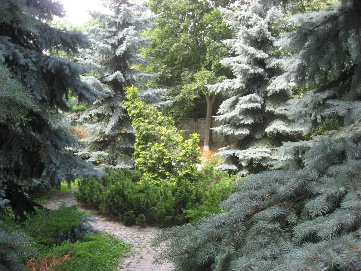 Great View Apartaments Near Lavra Kiev Dış mekan fotoğraf